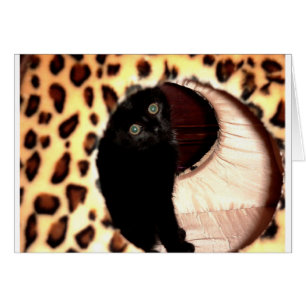 Black Cat in a leopard hooch