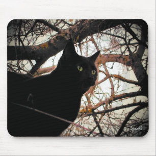 Black Cat in a Spooky Tree Mouse Pad