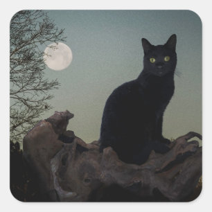 Black Cat in a Tree in Front of a Full Moon Square Sticker