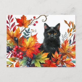 Black Cat in Autumn Colourful Leaves Postcard