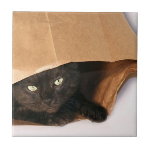 Black cat in bag tile