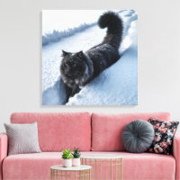 Black Cat In Deep Snow