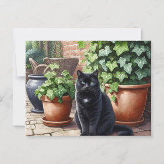 Black Cat in Garden Cat Lovers  Postcard