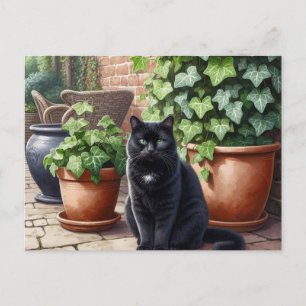 Black Cat in Garden Cat Lovers Postcard