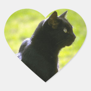 Black Cat in Profile Heart Sticker