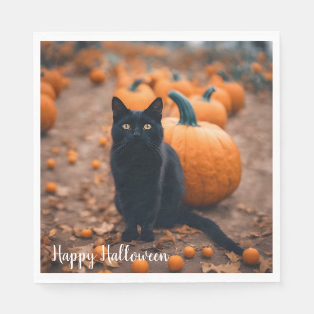 Black Cat In Pumpkin Patch Napkin (Front)