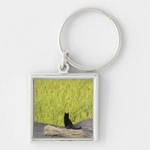 Black Cat in Rice Paddy Key Ring