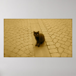 Black Cat In Sepia Poster