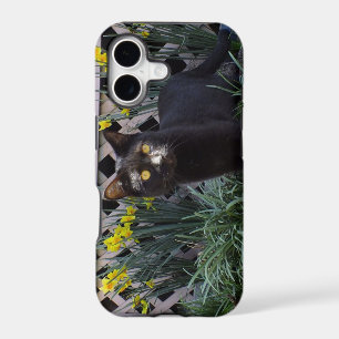 Black Cat In The Daffodils iPhone 5 Case