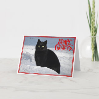 Black Cat in the Snow Christmas Card