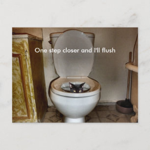 Black Cat In Toilet Postcard