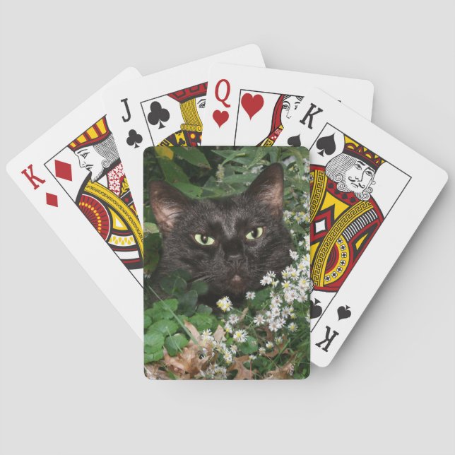 Black cat in wildflowers playing cards (Back)