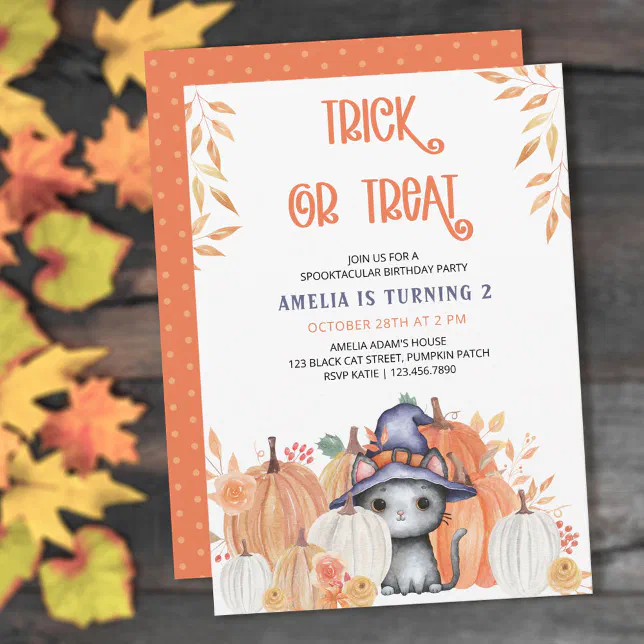 Black Cat in Witch Hat Trick or Treat Birthday Invitation | Zazzle