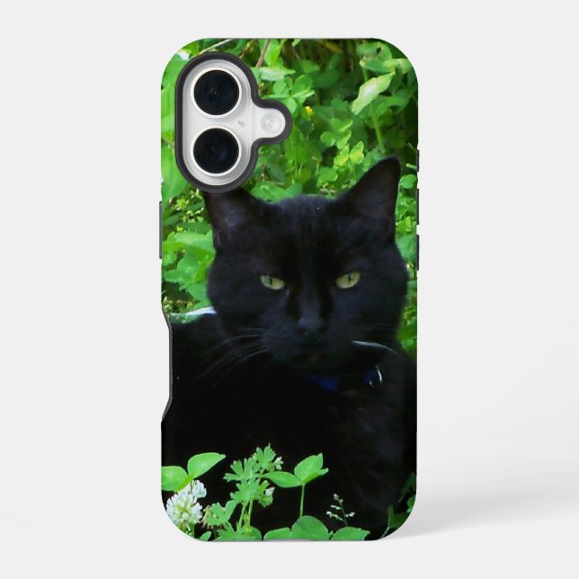 Black Cat iPhone / iPad case (Back)