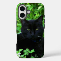 Black Cat iPhone / iPad case