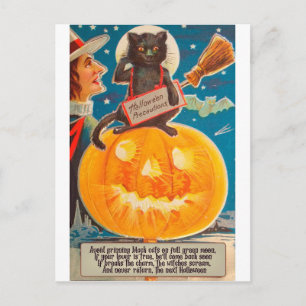 Black Cat is Sitting on Big Bright Pumpkin, Funny Postcard