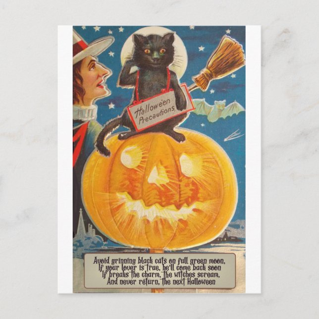 Black Cat is Sitting on Big Bright Pumpkin, Funny Postcard (Front)