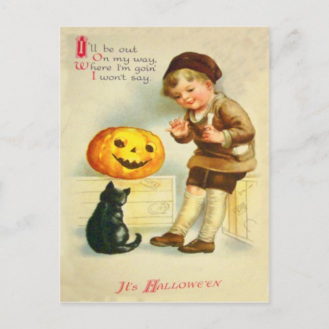 Black Cat Jack O Lanter Pumpkin Girl Postcard (Front)