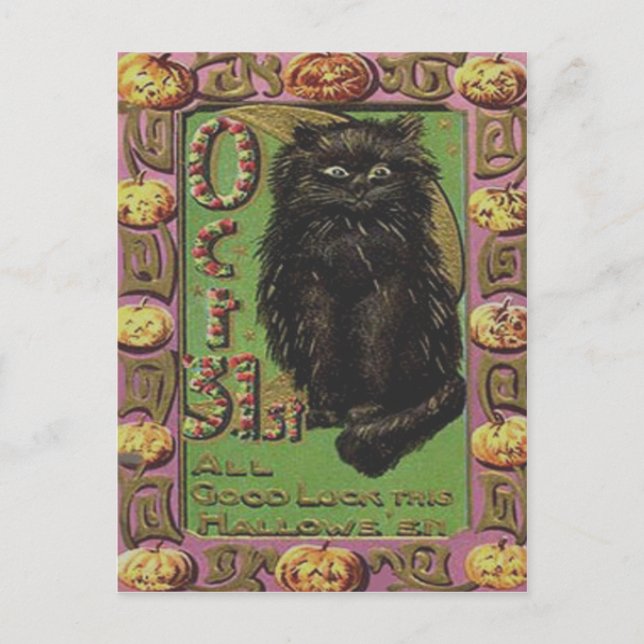 Black Cat Jack O Lantern Pumpkin Postcard (Front)