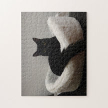 Black Cat