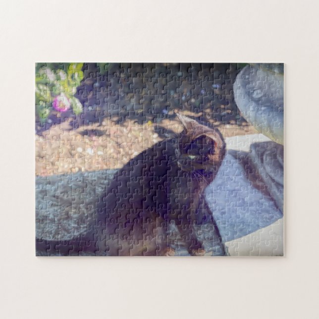 Black Cat Jigsaw Puzzle (Horizontal)