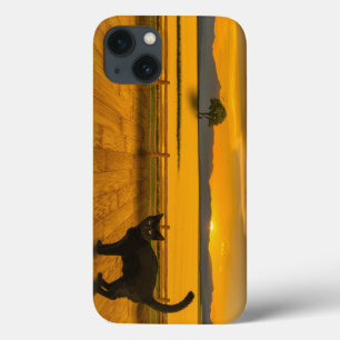 Black Cat Landscape iPhone 13 Case