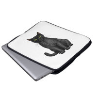 Black cat