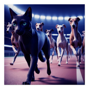 Black Cat Leading Pack Of Dogs At Dog Track Poster