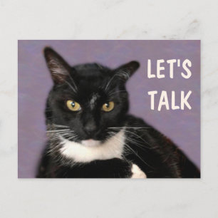 Black Cat Let's Talk Postcard