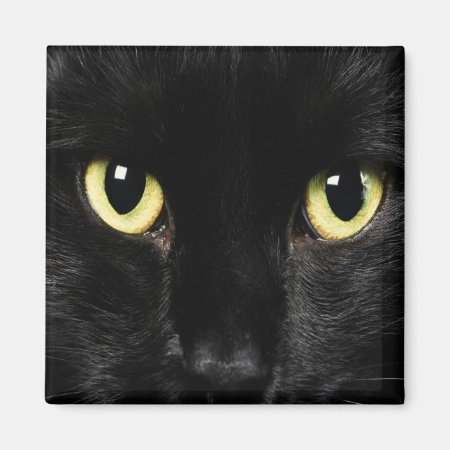 BLACK CAT Locker Magnets, Refrigerator Magnet (Front)