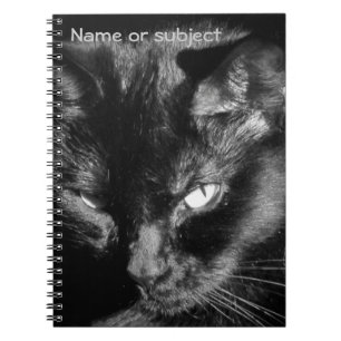 Black Cat Lookin at You Notebook