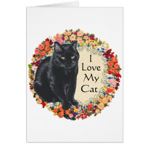 Black Cat Love