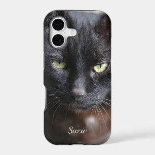 Black Cat Lover Image with Motivational