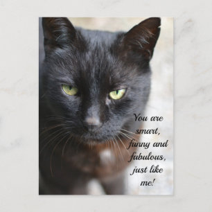 Black Cat Lover Image with Motivational Quote Post Postcard