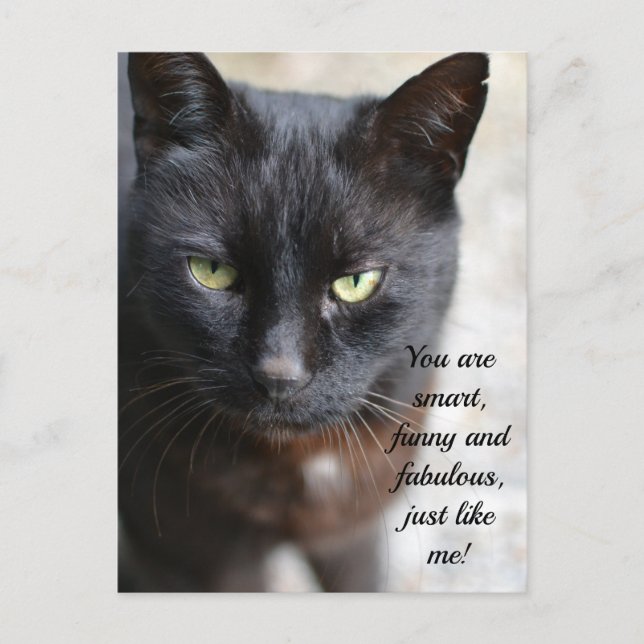 Black Cat Lover Image with Motivational Quote Postcard (Front)