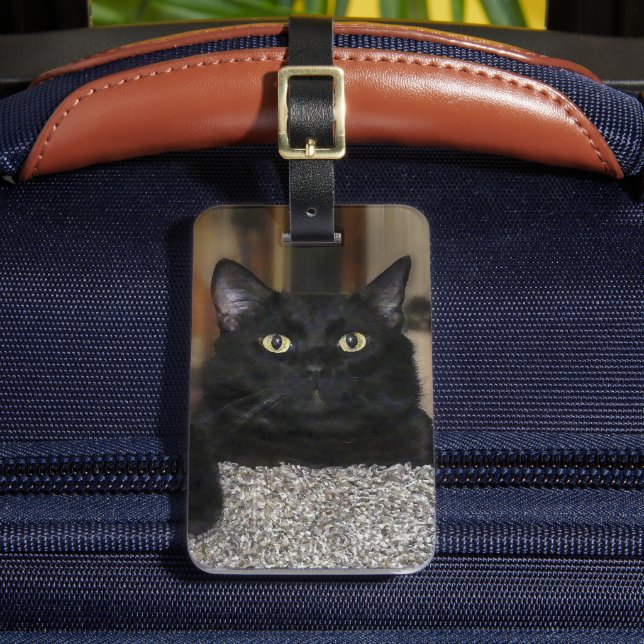Black Cat Luggage Tag (Front Insitu 2)