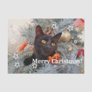 Black Cat Merry Christmas, Decoupage Tissue Paper