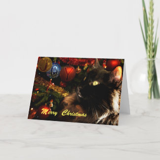 Black Cat Merry Christmas Holiday Card