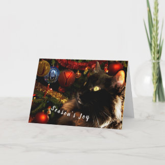 Black Cat Merry Christmas Holiday Card