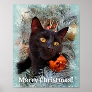 Black Cat Merry Christmas Poster