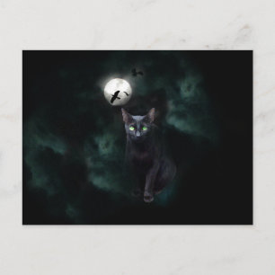 Black Cat Moon Postcard