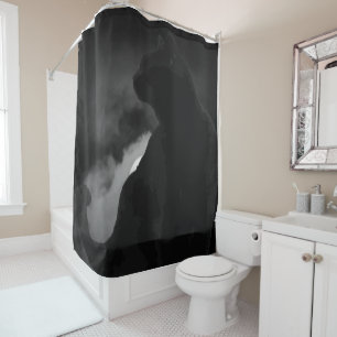 Black Cat Moonlight Silhouette Shower Curtain
