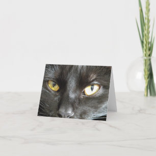 Black Cat Note card