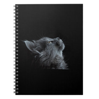 Black Cat Notebook