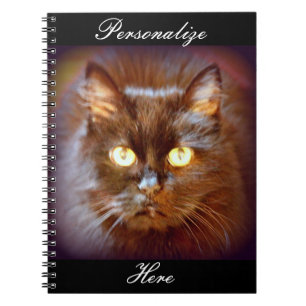 black cat notebook