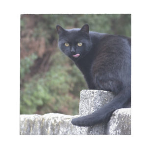Black Cat Notepad