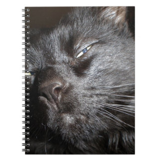 Black Cat - Oh Yeah Come and Get It Notebook