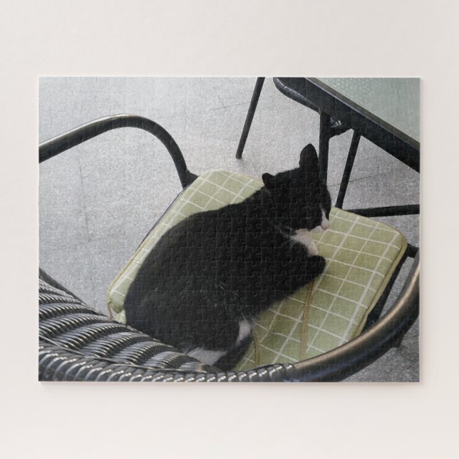 Black cat on a terrace jigsaw puzzle (Horizontal)