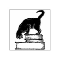 Black Cat on Books Rubber Stamp 