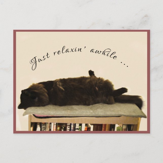 Black Cat on Vacation Postcard (Front)